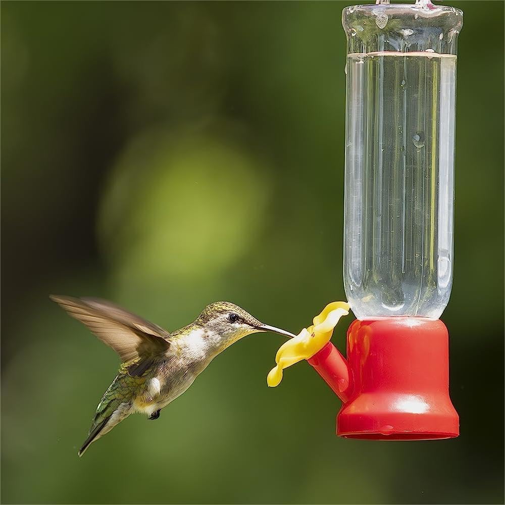 🔥Annual Offer - New Leak-Proof Design Hummingbird Feeder (4 Pack) - Libiyi