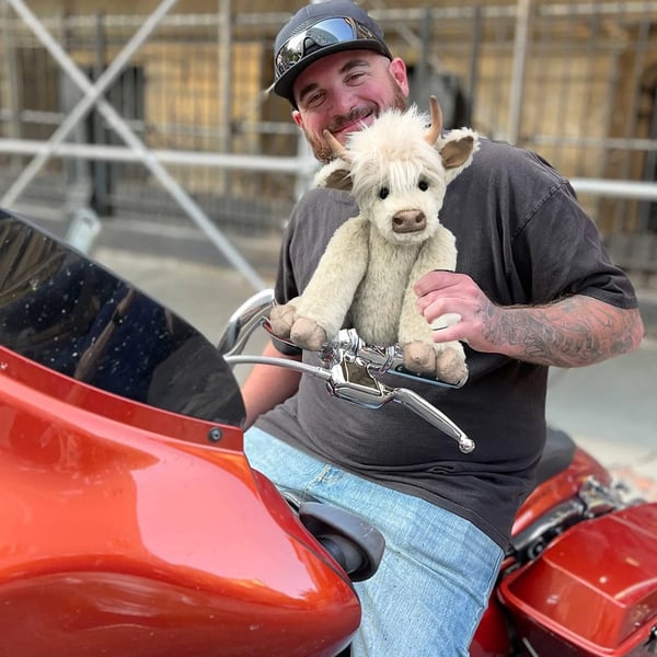 Fanyil™ Highland Cow Plush Toy - Libiyi