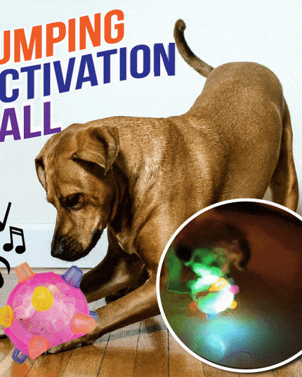 Libiyi™ Pet Ball  Endless Entertainment for Your Furry Friend! - Libiyi