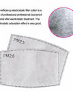 Filtre PM2,5 supplémentaire (1 paquet)
